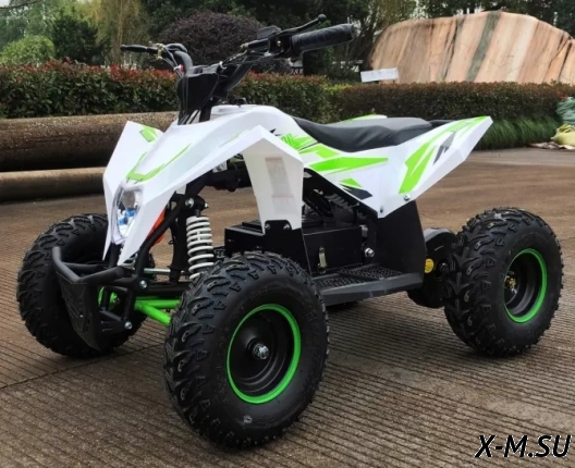 Детский электро квадроцикл MOTAX GEKKON 1300W