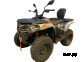 Квадроцикл LONCIN Xwolf 300 MAX