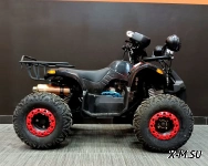 Квадроцикл BISON Kids 125 LD