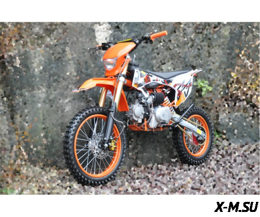 Питбайк X-MOTORS Venom ZX-125E