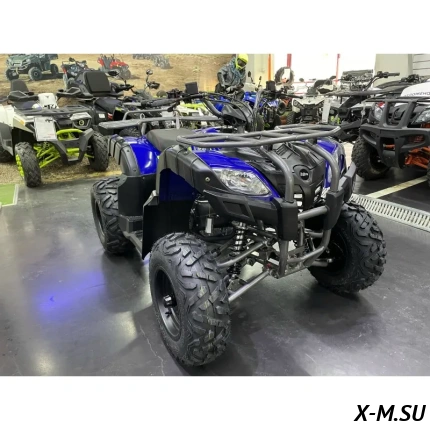 Квадроцикл IRIDE WOLF 200